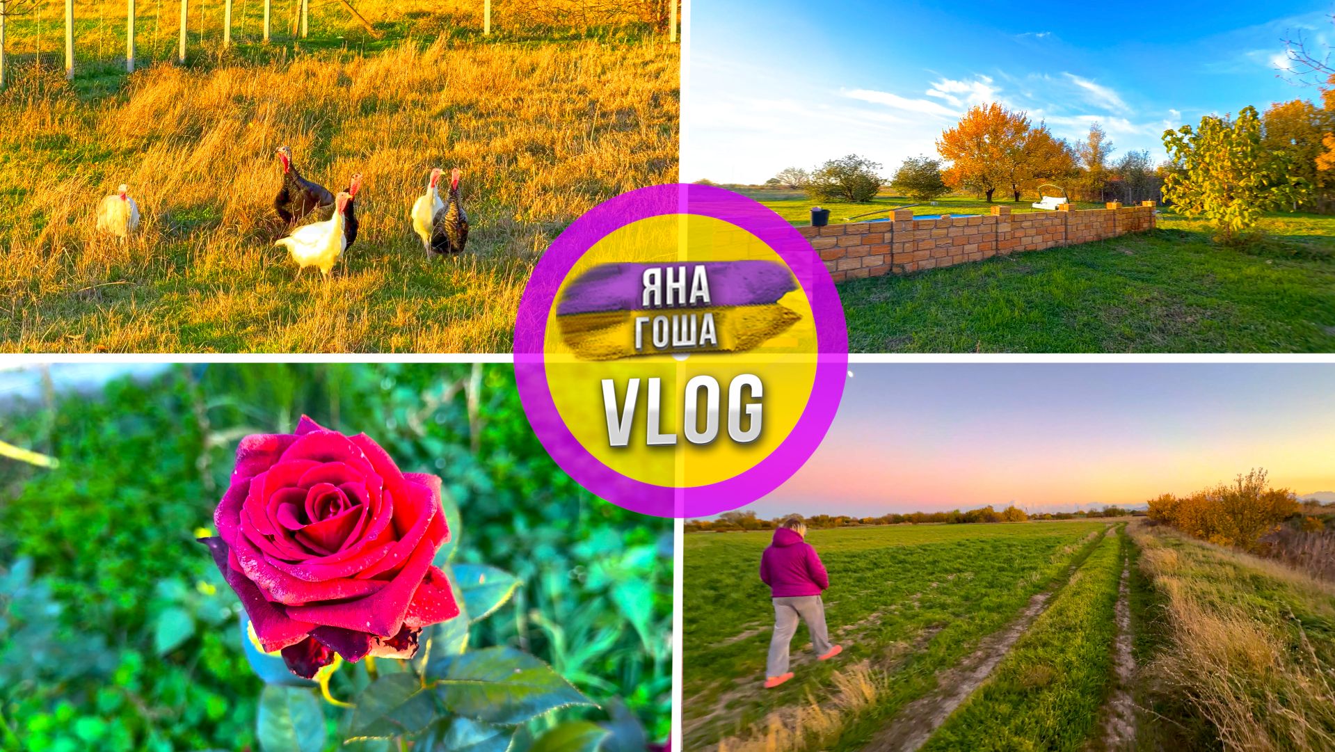 На календаре зима, а в Крыму только началась яркая осень! смотреть онлайн