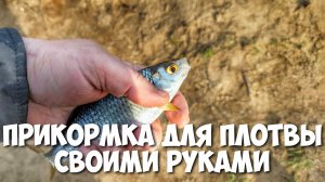 Прикормка для плотвы своими руками весенняя подкормка плотвы РЕЗУЛЬТАТ НА ВИДЕО