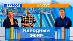 Кактус. Народный эфир