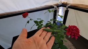 БУДУ ПРОБОВАТЬ‼️НУЖНО ВЫХОДИТЬ НА НОВЫЙ УРОВЕНЬ