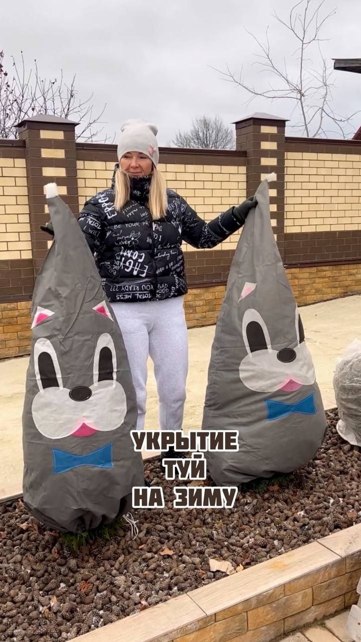 Укрытие туй на зиму смотреть онлайн