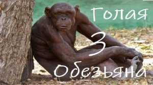 Голая Обезьяна - III : Подробности Эволюции