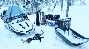 Всё-таки Я НАШЁЛ СЛЕДЫ ЛОСЯ / ПРОБИВАЮСЬ ПО НАВИГАТОРУ В ТАЙГЕ / ОХОТА НА ТЕТЕРЕВА С МЕЛКАШКОЙ.