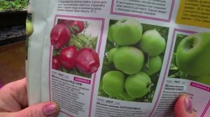 Обзор каталога "Весна 2026" от Садов России. Часть 4