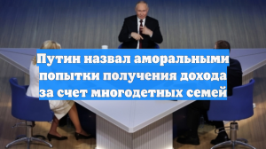 Путин назвал аморальными попытки получения дохода за счет многодетных семей