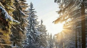 19.12.2025 Что связала? Готовые работы🧶🧶🧶. Хватит ныть!