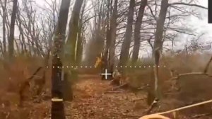 Петушиный жест укронациста отправил его первого к Степашке, всё по-честному.