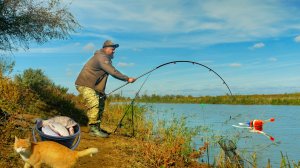 ОЧЕНЬ УЛОВИСТАЯ СНАСТЬ НА  ПОПЛАВОК - ТЕПЕРЬ РЫБЫ В ДВА РАЗА БОЛЬШЕ! Рыбалка на поплавок!