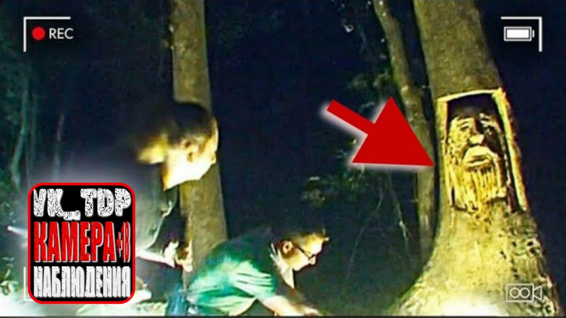 ⚡️Скрытый лес убийц обнаружен полицией