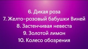 Наборы семян  томатов. БОЛЬШИЕ СКИДКИ!. Часть 1. т. 89229284031