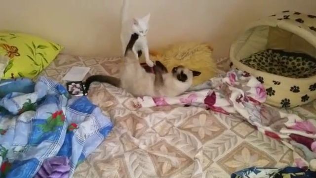 Об батарею смотреть онлайн