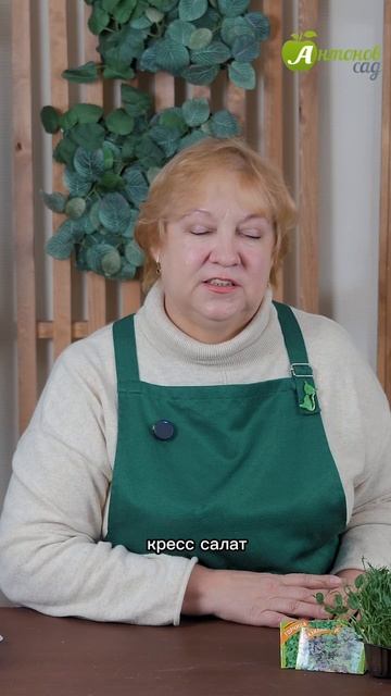 Виды микрозелени смотреть онлайн