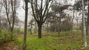 ОДЕССА 18 ДЕКАБРЯ 2025. ЗЕ ПРО МИЛИТАРИСТСКУЮ РИТОРИКУ ПУ