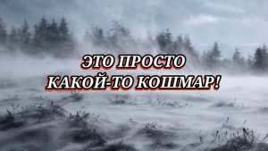 СТРАШНАЯ МЕТЕЛЬ НА ДОРОГЕ. ЦЕНЫ НА БЕНЗИН ДЕКАБРЬ 2025.