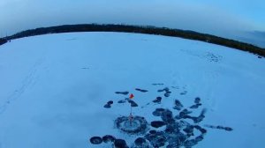 ЩУКИ ПЕРЕКУСЫВАЮТ ПОВОДКИ.ЭТО ПЕРВЫЙ ЛЕД 2025-2026