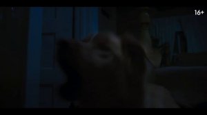 Глазами пса — Русский трейлер (Дубляж, 2025)