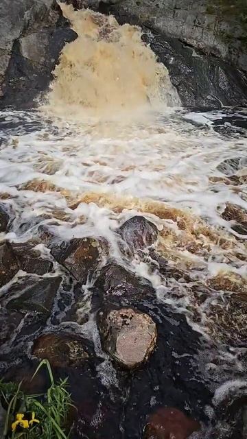 Карелия. Питкяранта. Водопад Нижний Койриноя. Karelia. Pitkäranta. Nizhny Koirinoya waterfall смотреть онлайн