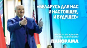 Акценты расставлены: ВНС приняло Программу социально-экономического развития до 2030 года. Панорама