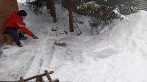 белки вокруг Сергея