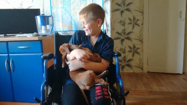 4 августа 2017 г. смотреть онлайн