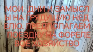 МОИ  ДНИ И ЗАМЫСЛЫ. ПРЕДПОЛАГАЕМ ПОЕЗДКУ НА ФОРЕЛЕВОЕ ХОЗЯЙСТВО🐟