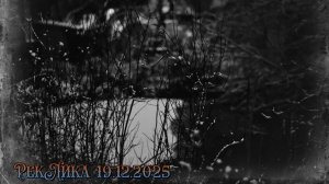 РекЛика  19.12.2025