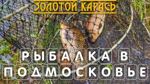 Рыбалка на золотого карася весной в Подмосковье поплавочной удочкой