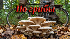По грибы на велосипеде