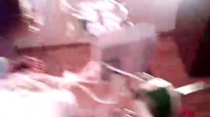 Васмус БТГ 17