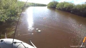 Искал сазана, а нашёл щуку. Она все стояла возле ручейков.