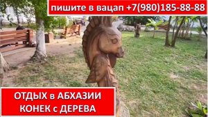 ОТДЫХ в АБХАЗИИ. КОНЕК с ДЕРЕВА