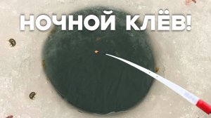 ЗАКИНУЛ ПРОСТУЮ УДОЧКУ...КРУПНЯК ПОДНЯЛ КИВОК! Карась в деревне. Зимняя рыбалка 2025