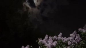 просто видео 🫂💋😅2025 ❤️🫂👥