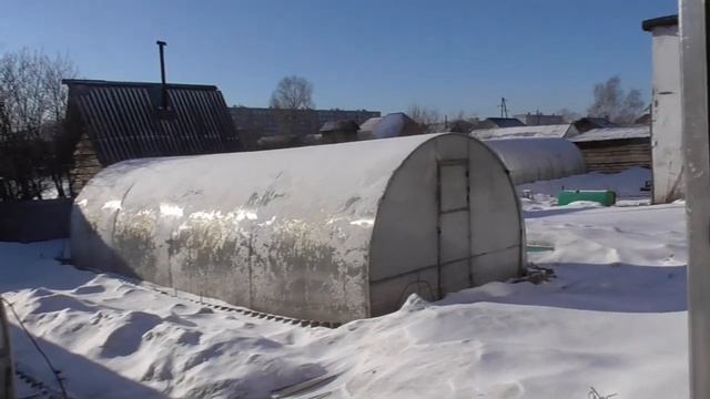 Зима продолжается! Обзор огорода и рассады 20 марта 2023 года.