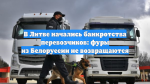 В Литве начались банкротства перевозчиков: фуры из Белоруссии не возвращаются