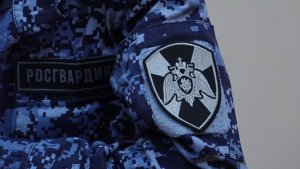 КОНТРОЛЬ ЗА ОХРАНОЙ: ИТОГИ 2025 ГОДА РОСГВАРДИИ