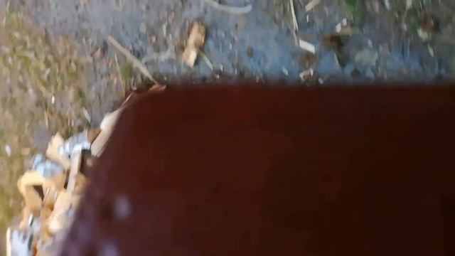 3 августа 2017 г. смотреть онлайн