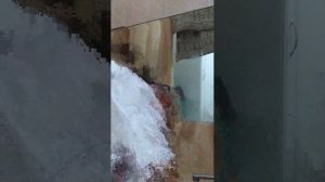 Книгочтение