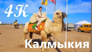 Калмыкия в 4К Розовое озеро, поющие барханы, верблюды  и буддистские храмы