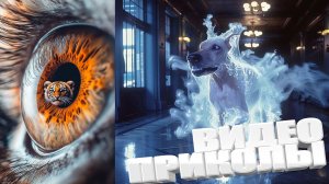 САМАЯ УГАРНАЯ НЕЙРОСЕТЬ ОЧЕНЬ СМЕШНЫЕ ВИДЕОПРИКОЛЫ НЕЙРОСЕТИ