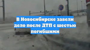 В Новосибирске завели дело после ДТП с шестью погибшими