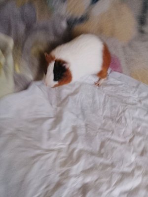 всем привет