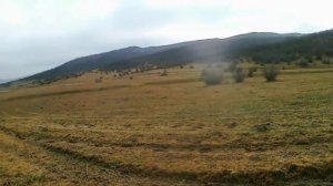 Охота на зайца