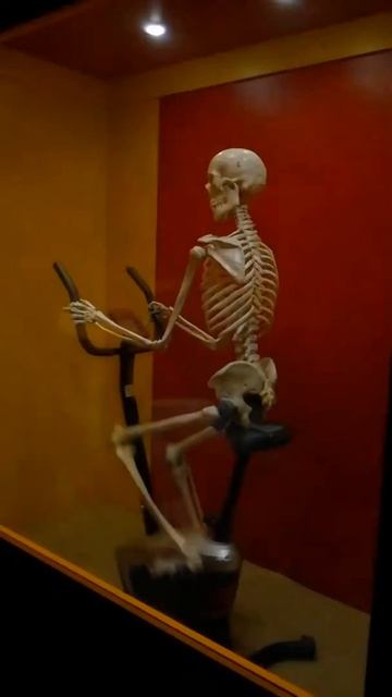 Галилео 6 смотреть онлайн