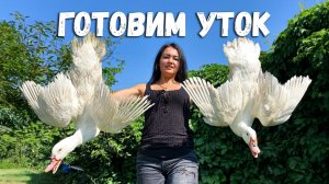 Рецепт Приготовления УТОК с Хрустящей Корочкой с использованием Компрессора