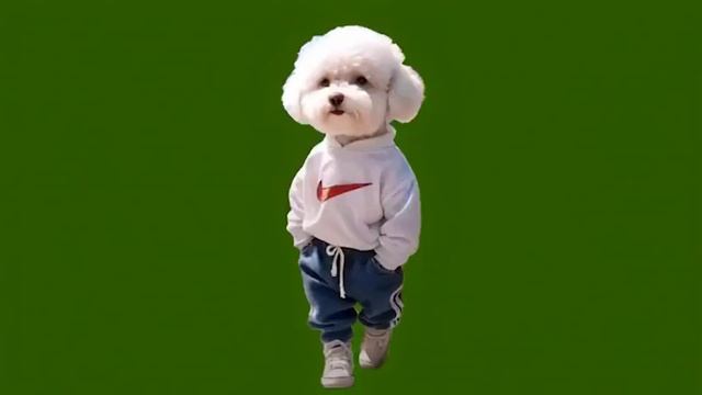 Озорной гуляка_encoded