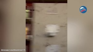 Жители в шоке: Уругвай «захватили» полчища стрекоз