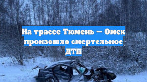 На трассе Тюмень — Омск произошло смертельное ДТП