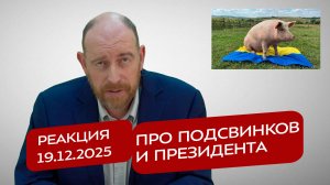Реакция 19.12.2025 Про подсвинков и президента