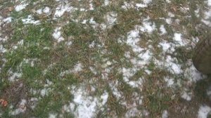 ИТОГИ 2025г : Экономия топлива за счет погодных условий       ПОДПИШИСЬ